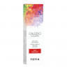 Пигмент прямого действия для волос CALEIDO COLORS — Tefia 100 мл